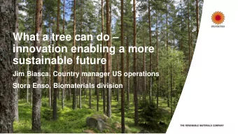 What a tree can do   innovation enabling a more  sustainable future  Jim Biasca, Country manager