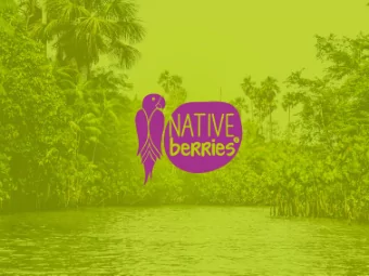 No artificial syrup  No artificial flavors  Aa Berries contain an incredibly high amount of