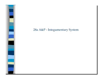 28a A&amp;P - Integumentary System 28a A&amp;P - Integumentary System   Class Outline  5 minutes
