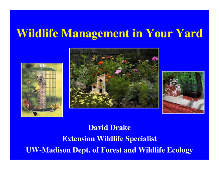 wildlife management in your yard