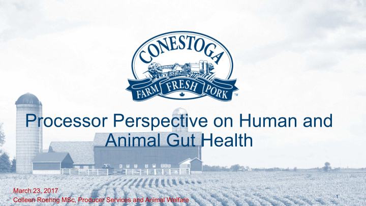 processor perspective on human and animal gut health