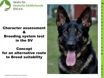 Breeding system test  t  e  in the SV  i  l  u  Concept  n  for an alternative route  g  to Breed
