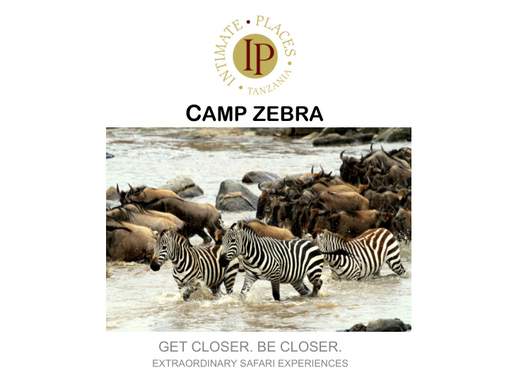 what is camp zebra
