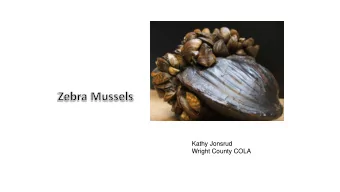 Kathy Jonsrud  Wright County COLA  Aquatic In  Invasive Species  What can I  I do?  Eurasian