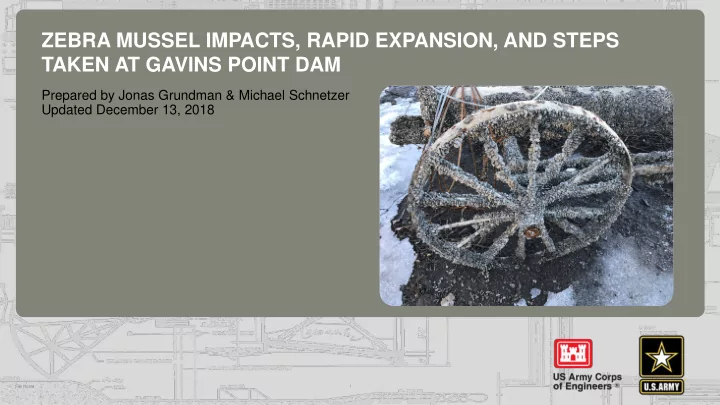 zebra mussel impacts rapid expansion and steps taken at