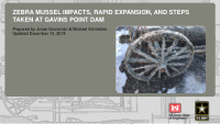 zebra mussel impacts rapid expansion and steps taken at