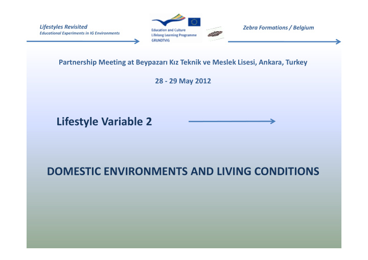lifestyle variable 2 domestic environments and living