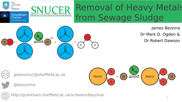 removal of heavy metals from sewage sludge