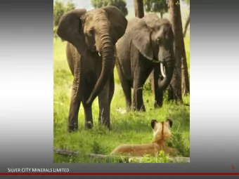 1 S ILVER CITY M INERALS L IMITED  Important Disclaimer  This material contains certain forecasts