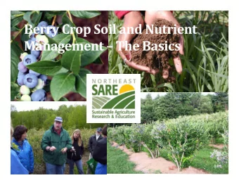 Berry Crop Soil and Nutrient Management  The Basics Utility of Soil and Tissue  Testing