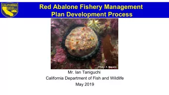 Red Abalone Fishery Management  Plan Development Process  Photo: A. Maguire  Mr. Ian Taniguchi
