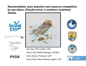 PVOA  Sunny Rice, Marine Advisory Agent, UAF  Outline 1)  Background  Sea otter biology A)