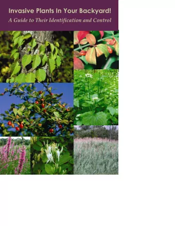 ( S . L e i cht , U n i ve r s i ty of Connect i cut , bugwood . o r g) ( T . H eutte , U S DA