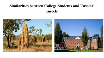 Similarities between College Students and Eusocial  Insects  Introduction  Solange Issa, Ph.D.