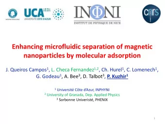 Enhancing microfluidic separation of magnetic nanoparticles by molecular adsorption J. Queiros