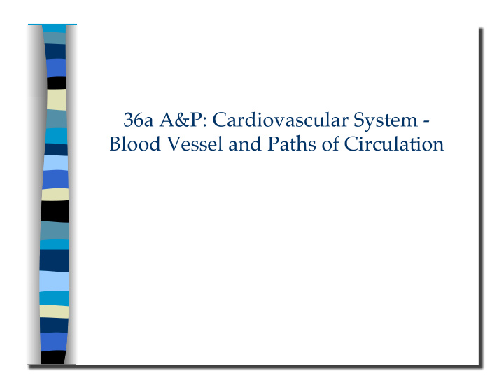 blood vessel and paths of circulation 36a a amp p