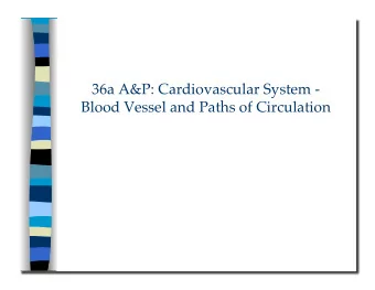Blood Vessel and Paths of Circulation 36a A&amp;P: Cardiovascular System -  Blood Vessels and