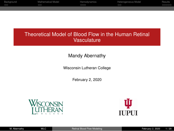 theoretical model of blood flow in the human retinal
