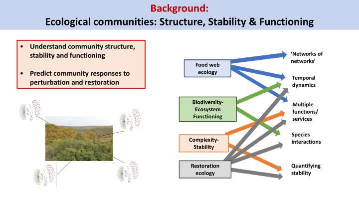 background ecological communities structure stability