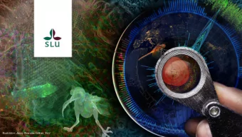 Illustration: Jenny Svenns-Gillner, SLU  What is SLU?  A world-leading university in