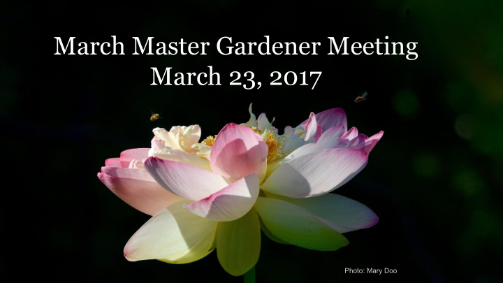 march master gardener meeting march 23 2017