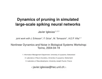 Dynamics of pruning in simulated  large-scale spiking neural networks Javier Iglesias 1 , 2 , 3