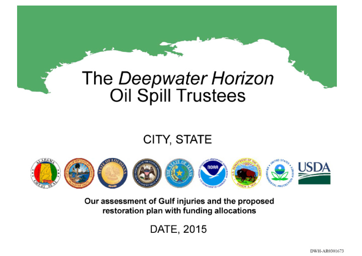 the deepwater horizon oil spill trustees