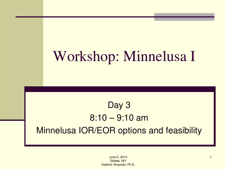 workshop minnelusa i