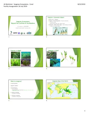 JA Mortimer:  Seagrass Ecosystems.  Coral  8/22/2019  Facility Inauguration 16 July 2019  Seagrass