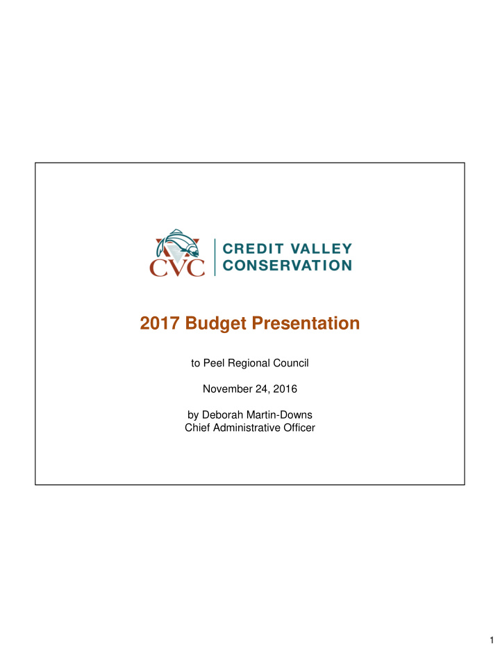 2017 budget presentation