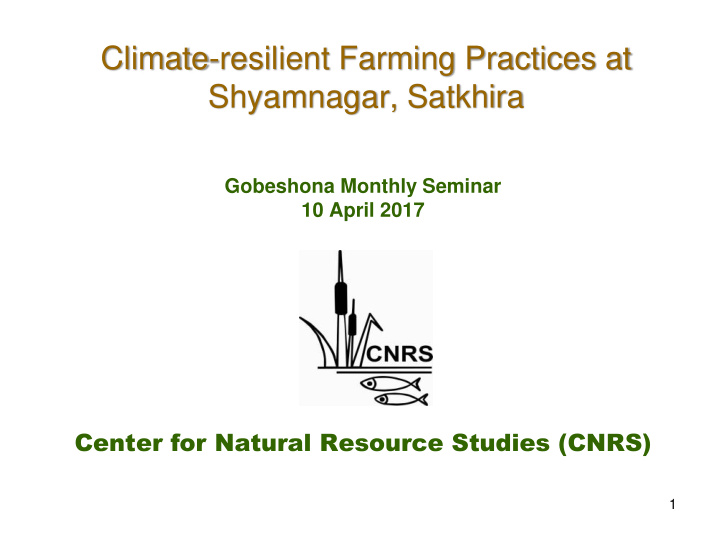 climate resilient farming practices at shyamnagar satkhira