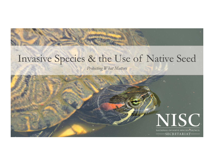 invasive species the use of native seed