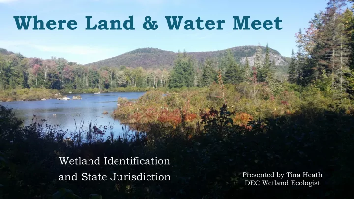 where land water meet
