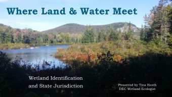Where Land &amp; Water Meet  Wetland Identification  and State Jurisdiction  Presented by Tina