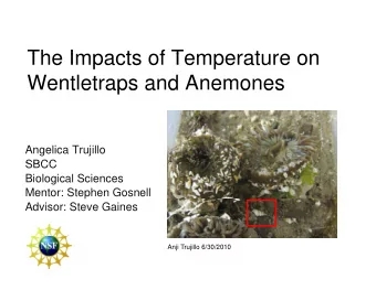 Th  The Impacts of Temperature on  I  t  f T  t  Wentletraps and Anemones  e t et aps a d  e  o es