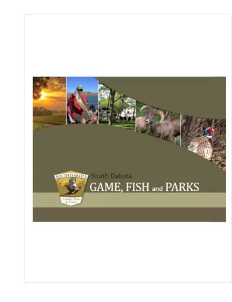 Camping units  300,000  290,000  280,000  270,000  260,000  250,000  240,000  230,000  220,000