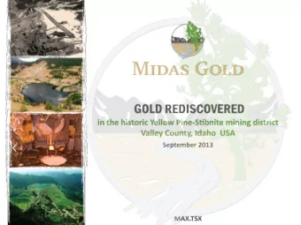 1  MIDAS GOLD &amp; THE GOLDEN MEADOWS PROJECT Ticks a lot of boxes  Experienced Leadership