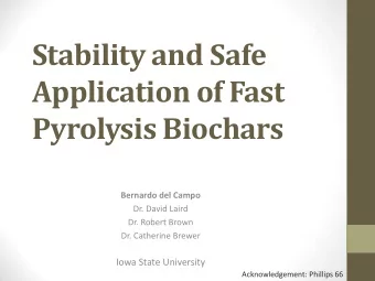 Stability and Safe  Application of Fast Pyrolysis Biochars  Bernardo del Campo  Dr. David Laird
