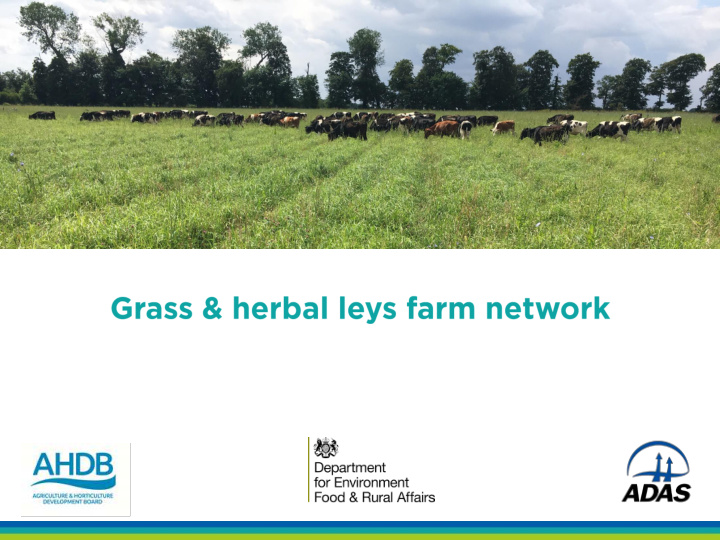 value of grass herbal leys in improving soil quality