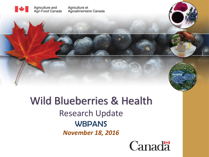 wild blueberries health