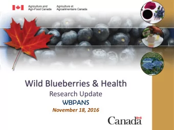 Wild Blueberries &amp; Health  Research Update WBPANS  November 18, 2016  Fruits, Vegetables and