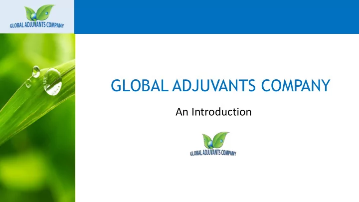 global adjuvants company