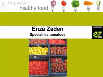 Enza Zaden  Specialties tomatoes  Tugba F1  Tugba F1  Plant and fruit characteristics  Resistances: