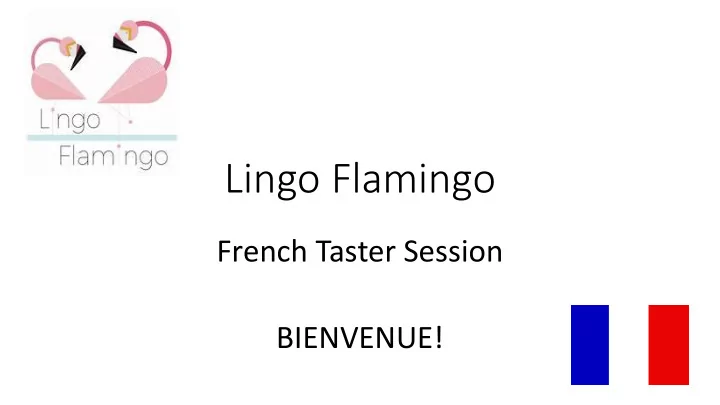lingo flamingo