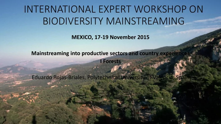 international expert workshop on