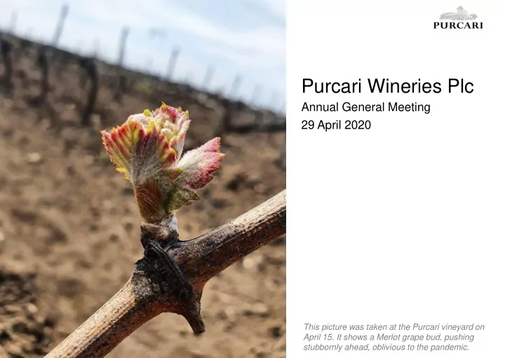 purcari wineries plc
