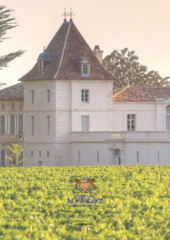 SUMMARY  Chteau Monlot, the revival............................................................ 3