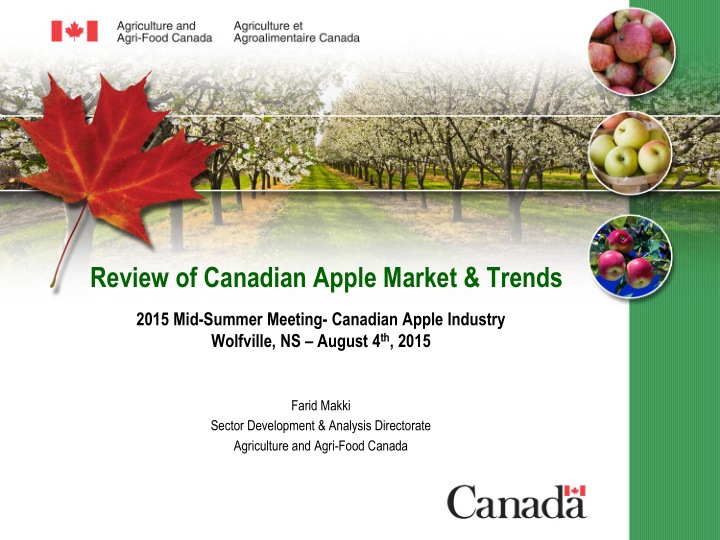 review of canadian apple market trends
