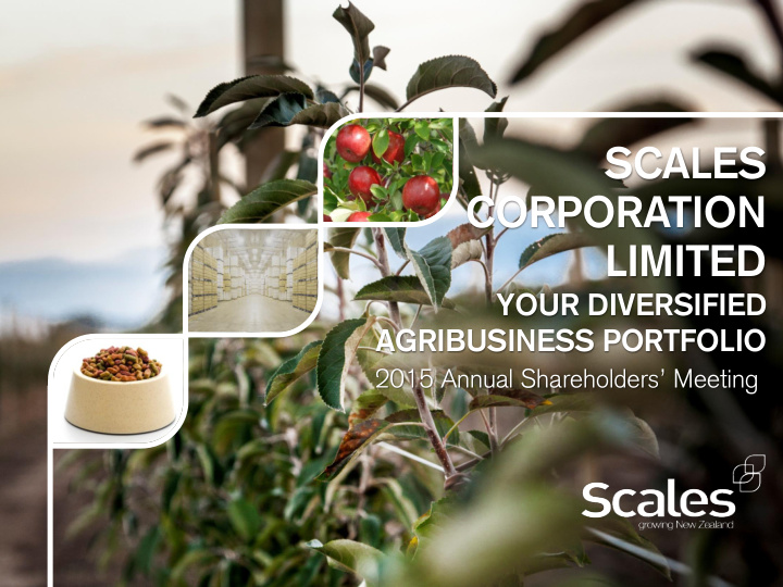 scales corporation limited