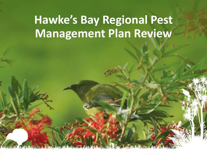 hawke s bay regional pest management plan review regional